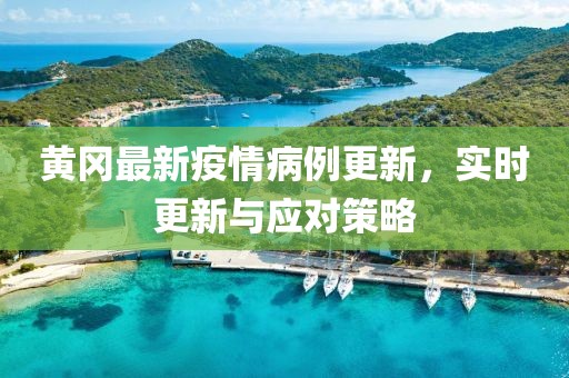 黄冈最新疫情病例更新，实时更新与应对策略