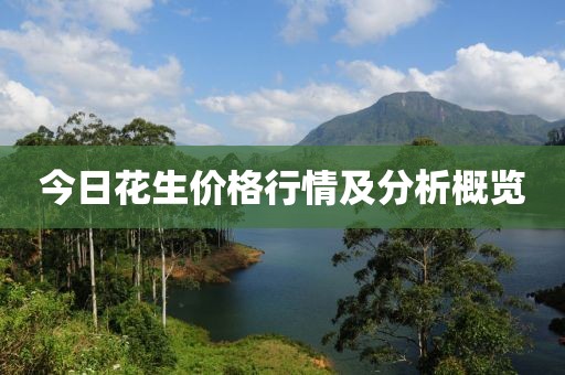 今日花生价格行情及分析概览
