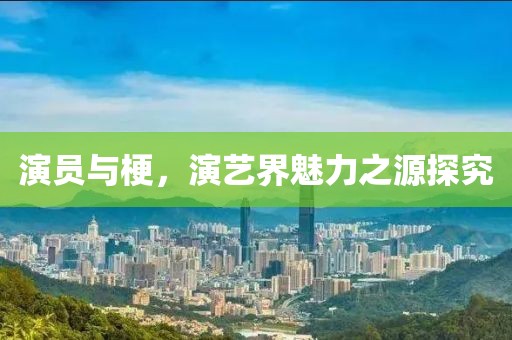 演员与梗，演艺界魅力之源探究