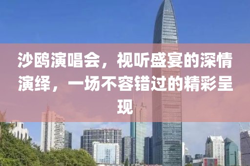 沙鸥演唱会，视听盛宴的深情演绎，一场不容错过的精彩呈现