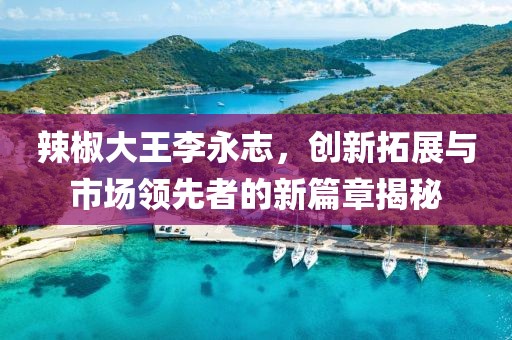 辣椒大王李永志，创新拓展与市场领先者的新篇章揭秘