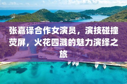 张嘉译合作女演员，演技碰撞荧屏，火花四溅的魅力演绎之旅