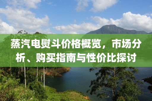 蒸汽电熨斗价格概览，市场分析、购买指南与性价比探讨