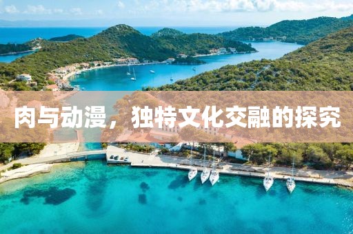 肉与动漫，独特文化交融的探究