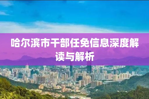 哈尔滨市干部任免信息深度解读与解析
