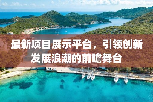最新项目展示平台，引领创新发展浪潮的前瞻舞台