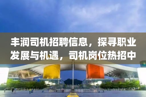 丰润司机招聘信息，探寻职业发展与机遇，司机岗位热招中