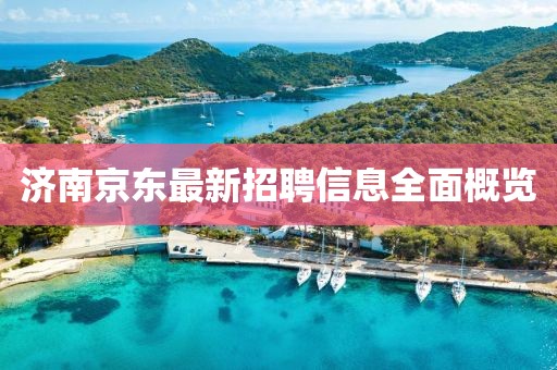 济南京东最新招聘信息全面概览