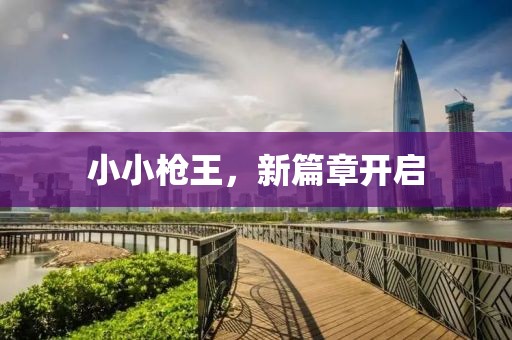 小小枪王，新篇章开启