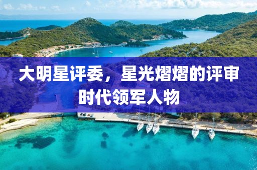 大明星评委，星光熠熠的评审时代领军人物