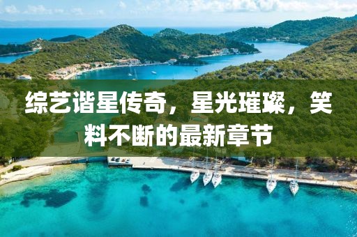 综艺谐星传奇，星光璀璨，笑料不断的最新章节