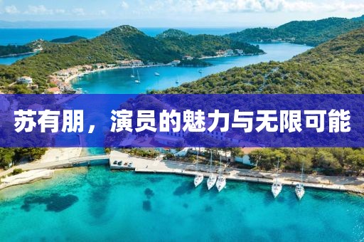 苏有朋，演员的魅力与无限可能