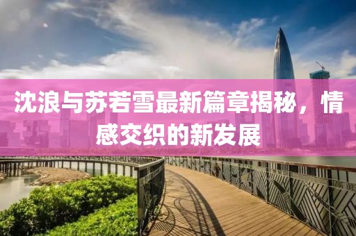 沈浪与苏若雪最新篇章揭秘，情感交织的新发展