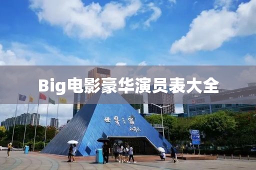 Big电影豪华演员表大全