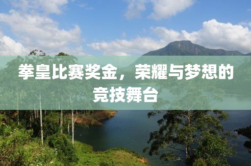 拳皇比赛奖金，荣耀与梦想的竞技舞台