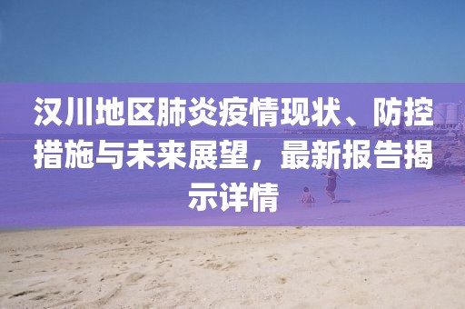 汉川地区肺炎疫情现状、防控措施与未来展望，最新报告揭示详情