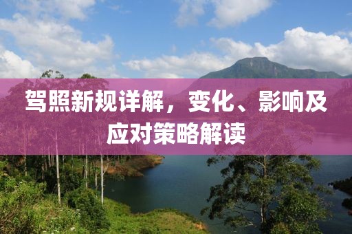 驾照新规详解，变化、影响及应对策略解读