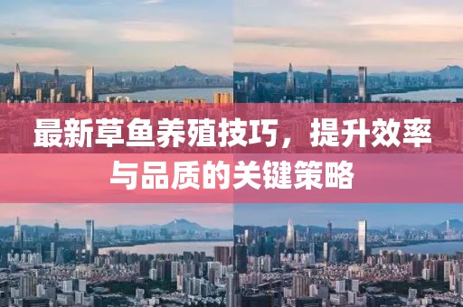 最新草鱼养殖技巧，提升效率与品质的关键策略