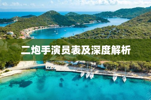 二炮手演员表及深度解析