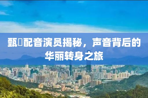 甄嬛配音演员揭秘，声音背后的华丽转身之旅