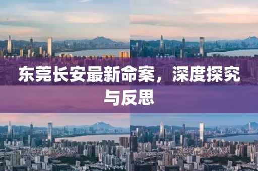 东莞长安最新命案，深度探究与反思