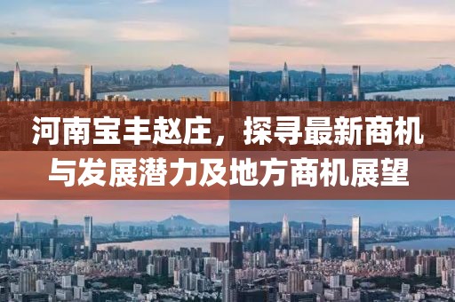 河南宝丰赵庄，探寻最新商机与发展潜力及地方商机展望