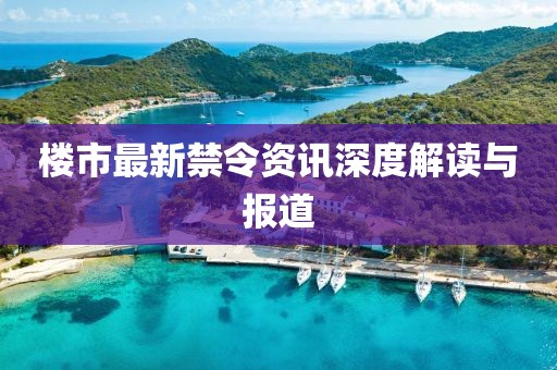 楼市最新禁令资讯深度解读与报道