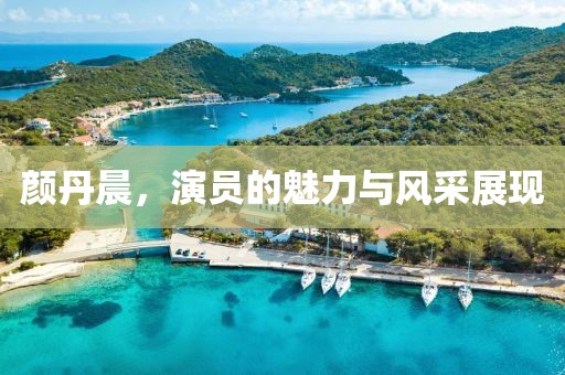 颜丹晨，演员的魅力与风采展现