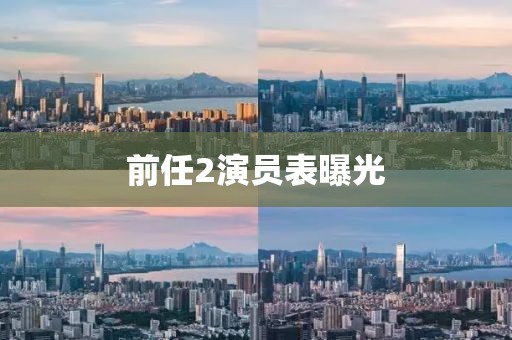 前任2演员表曝光