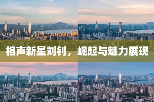 相声新星刘钊，崛起与魅力展现