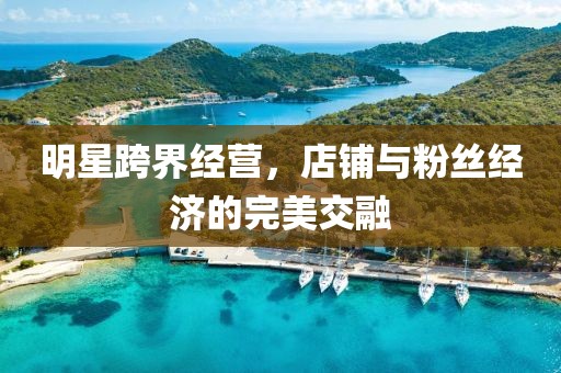明星跨界经营，店铺与粉丝经济的完美交融