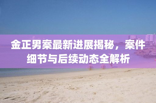 金正男案最新进展揭秘，案件细节与后续动态全解析