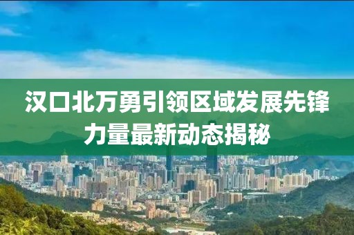 汉口北万勇引领区域发展先锋力量最新动态揭秘