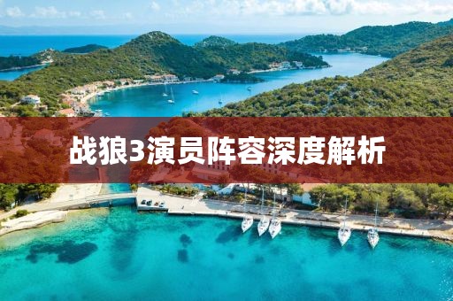战狼3演员阵容深度解析