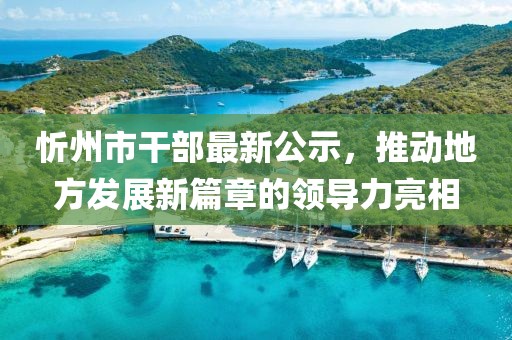 忻州市干部最新公示，推动地方发展新篇章的领导力亮相
