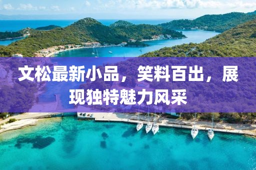 文松最新小品，笑料百出，展现独特魅力风采