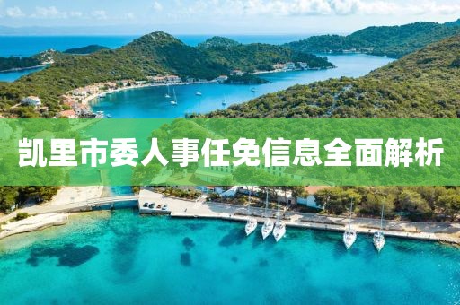 凯里市委人事任免信息全面解析