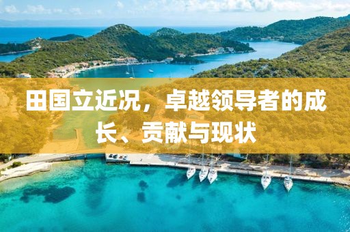 田国立近况，卓越领导者的成长、贡献与现状