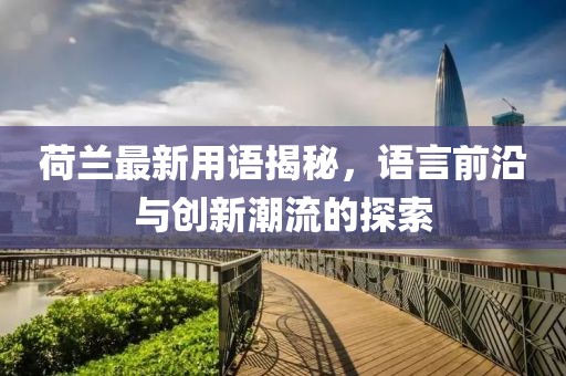 荷兰最新用语揭秘，语言前沿与创新潮流的探索