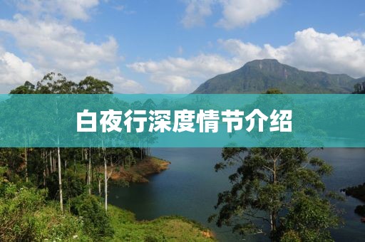 白夜行深度情节介绍
