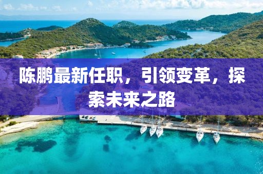 陈鹏最新任职，引领变革，探索未来之路