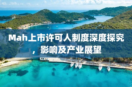 Mah上市许可人制度深度探究，影响及产业展望