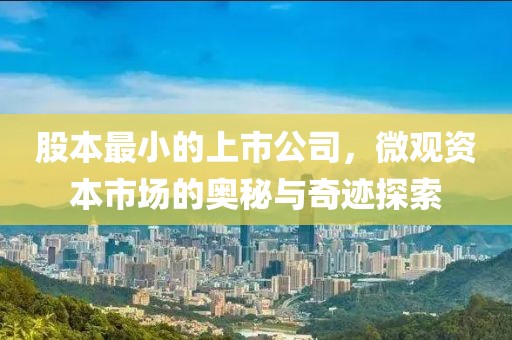 股本最小的上市公司，微观资本市场的奥秘与奇迹探索