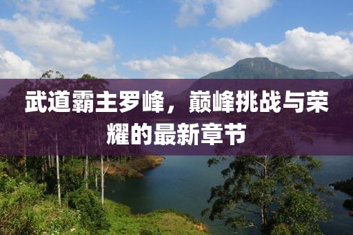 武道霸主罗峰，巅峰挑战与荣耀的最新章节