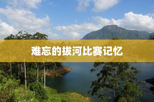 难忘的拔河比赛记忆
