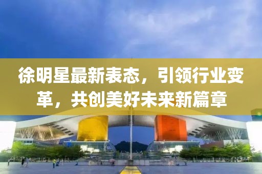 徐明星最新表态，引领行业变革，共创美好未来新篇章