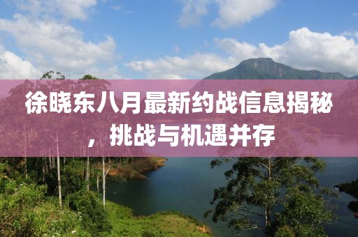 徐晓东八月最新约战信息揭秘，挑战与机遇并存