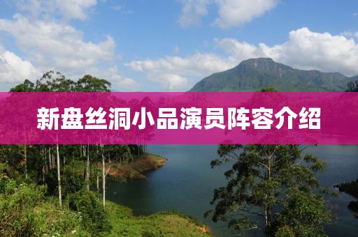 新盘丝洞小品演员阵容介绍