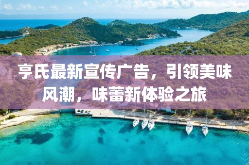 亨氏最新宣传广告，引领美味风潮，味蕾新体验之旅