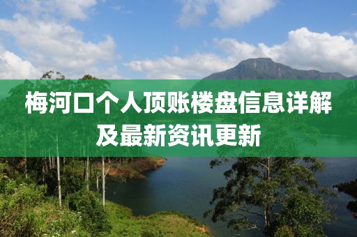 梅河口个人顶账楼盘信息详解及最新资讯更新
